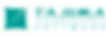 TSoft_logo_website_footer-01.png